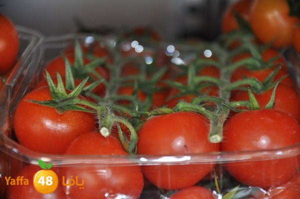 yaffa sooq 0306 (14).JPG